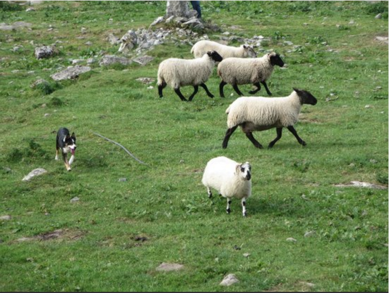 This photo of The Burren is courtesy of TripAdvisor.