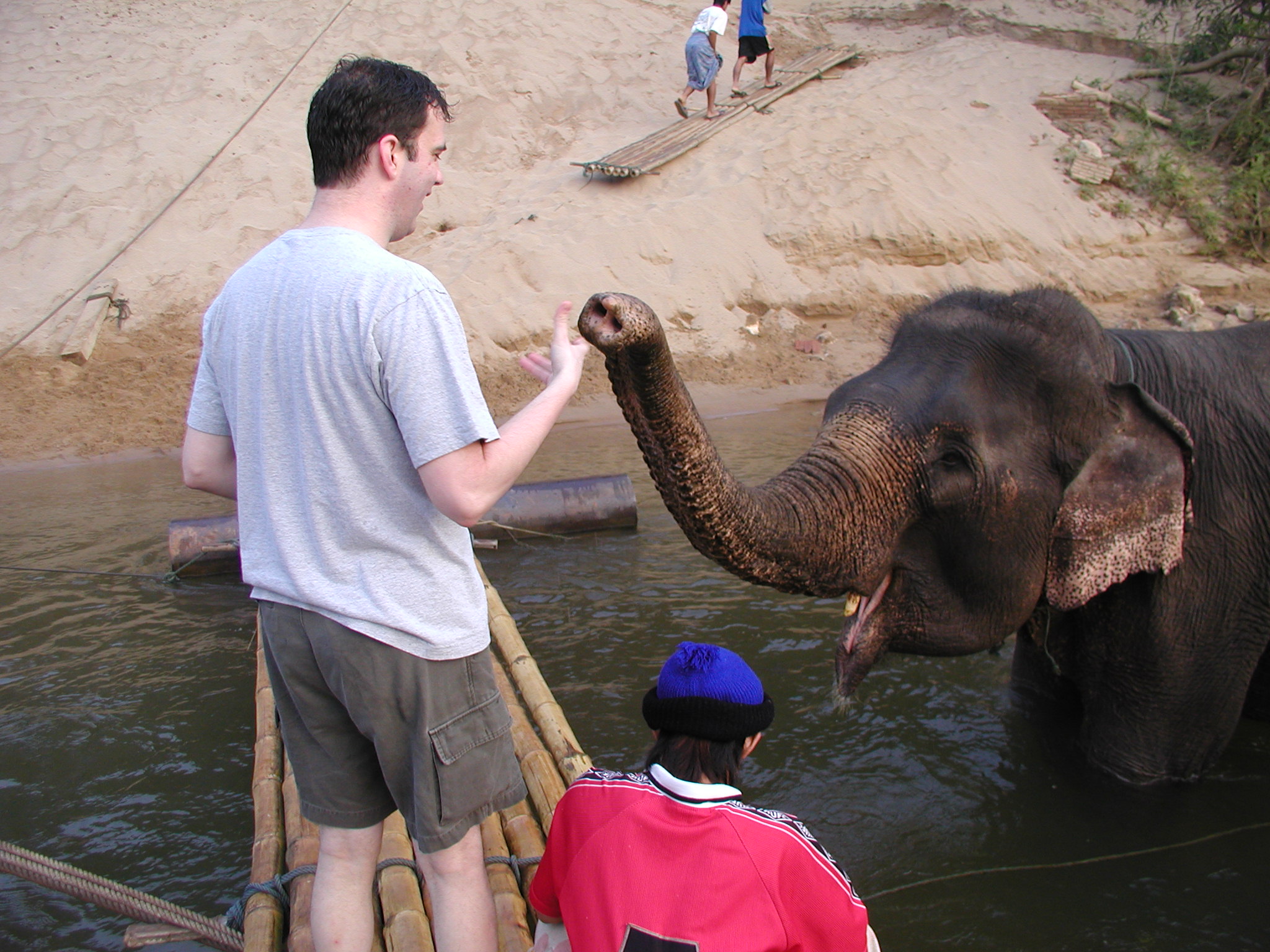 Feeding the elephants. (1).jpg