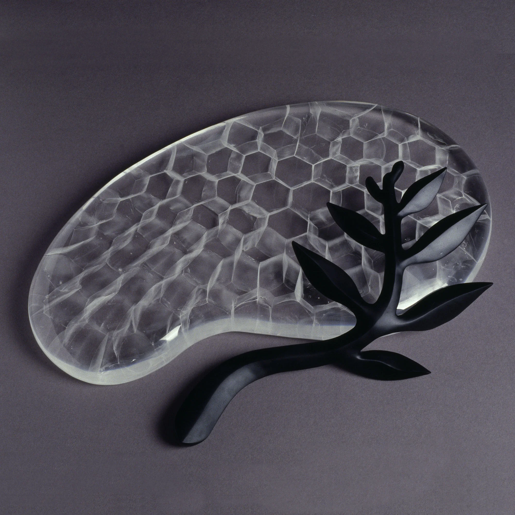 Evolution II | 2002 | Angela Jarman
