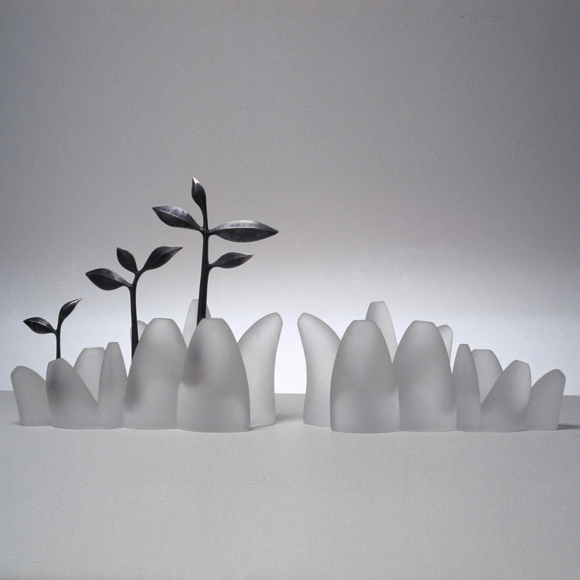 Growth | 2002 | Angela Jarman