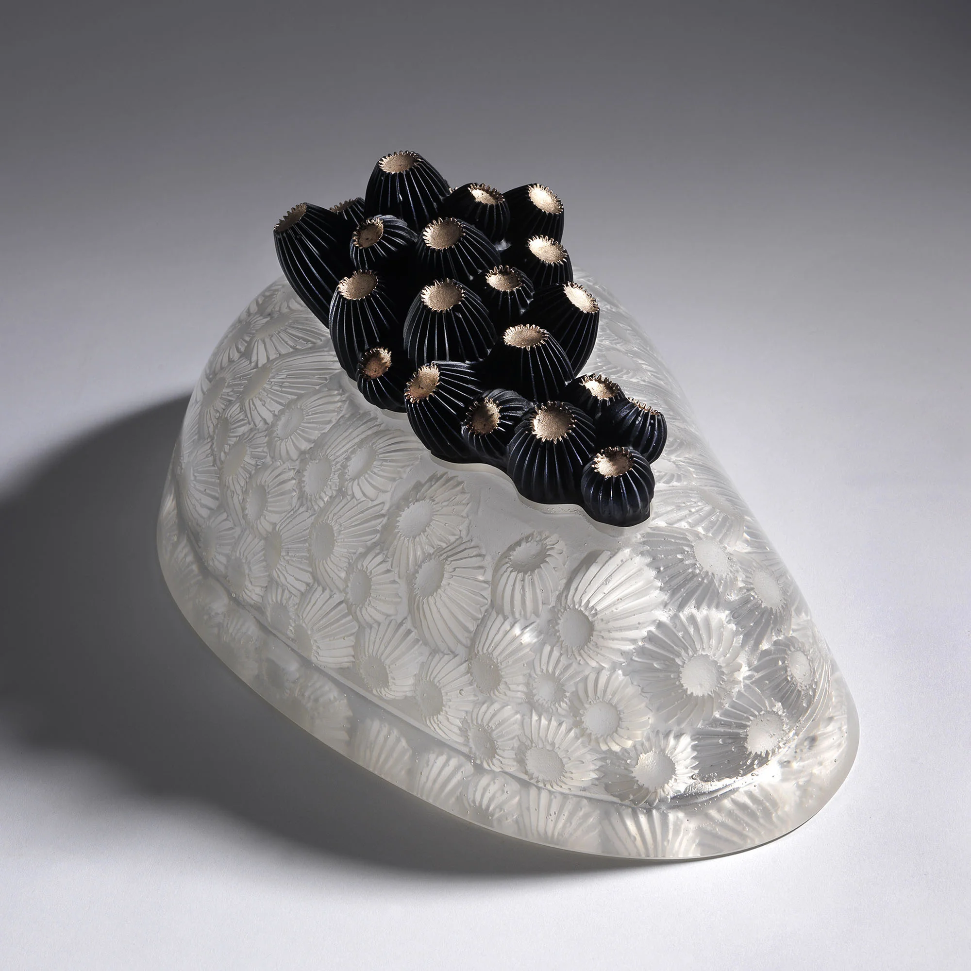 Star Coral I | 2014 | Angela Jarman