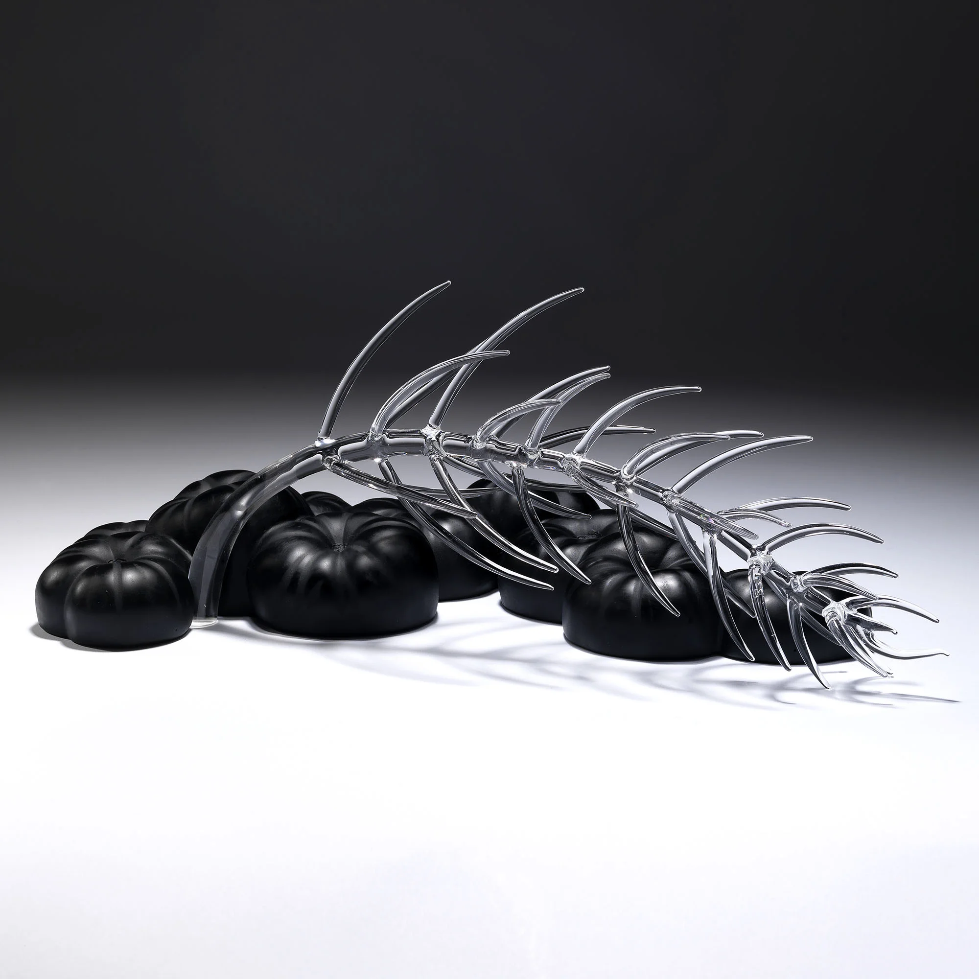 Marestail Marmonde II | 2012 | Angela Jarman