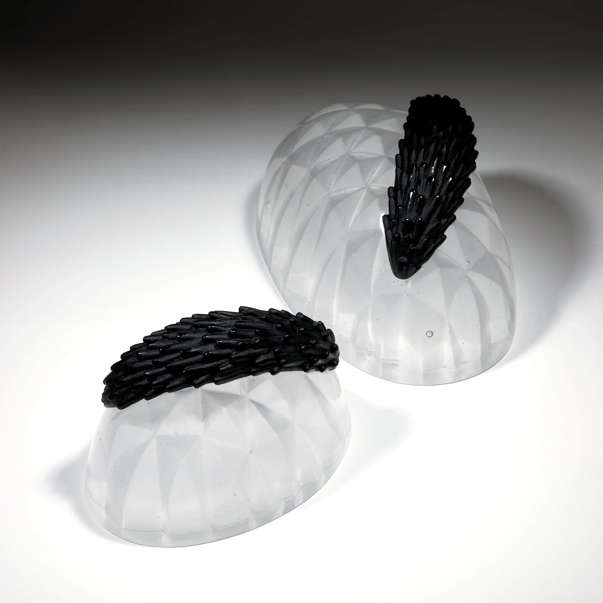 Double Strobulus | 2011 | Angela Jarman