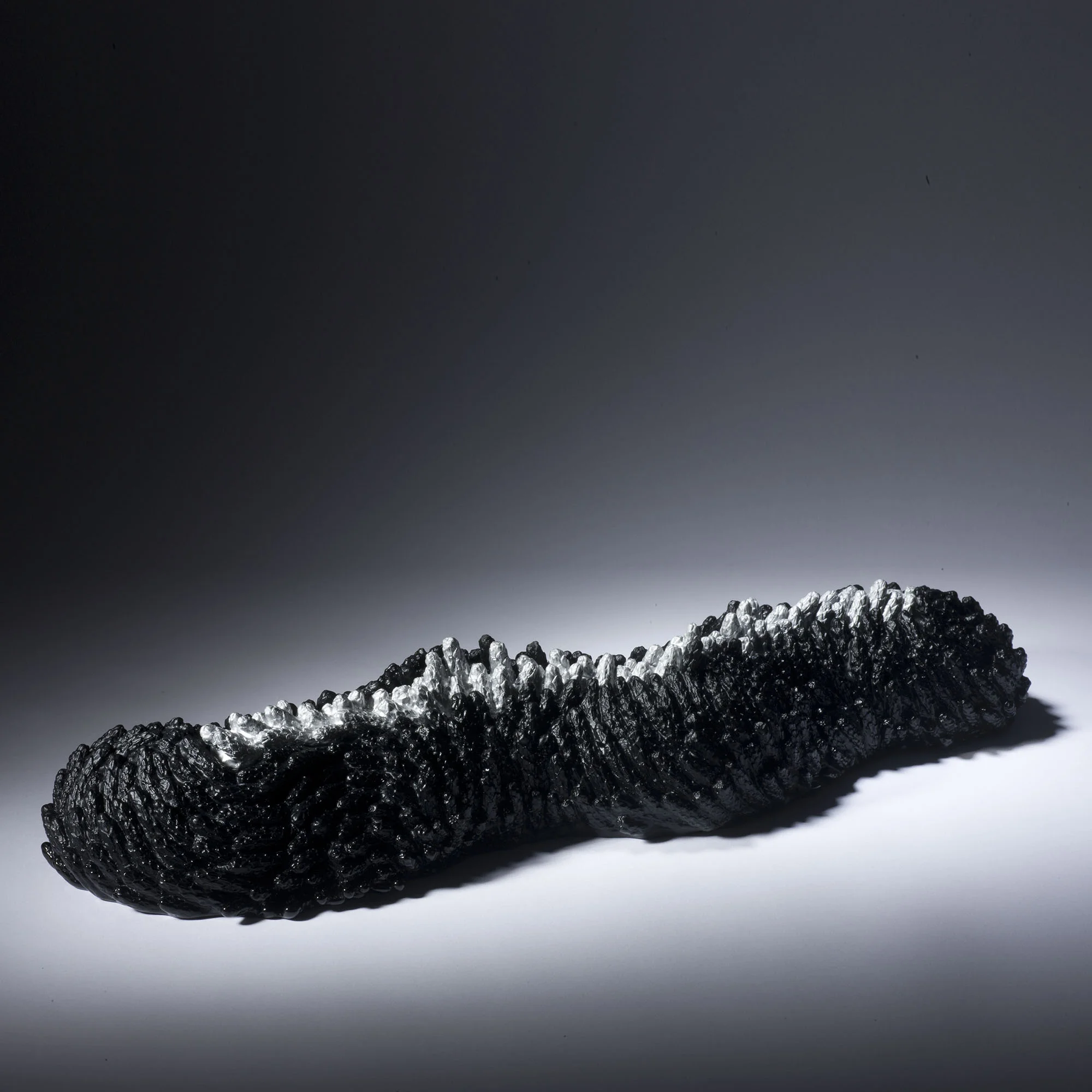 Forest Fir | 2010 | Angela Jarman