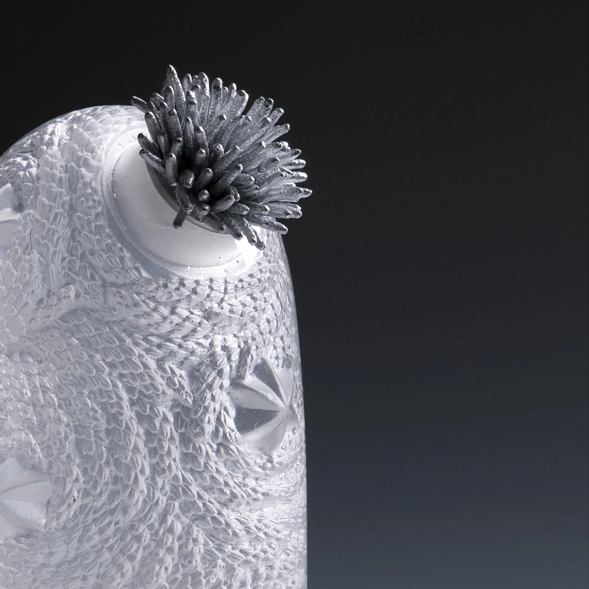 Magnolia | 2010 | Angela Jarman