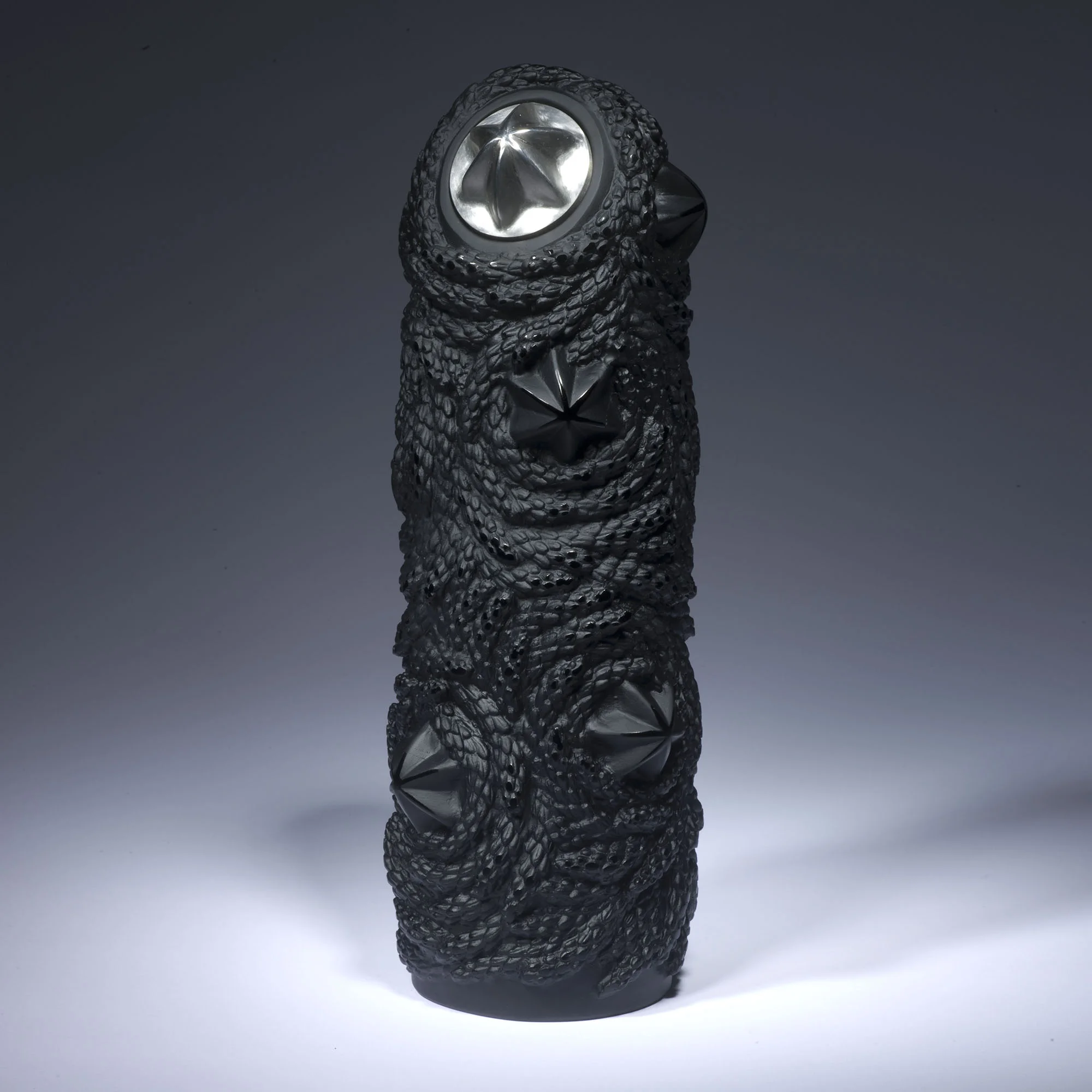 Asteroidea | 2009 | Angela Jarman