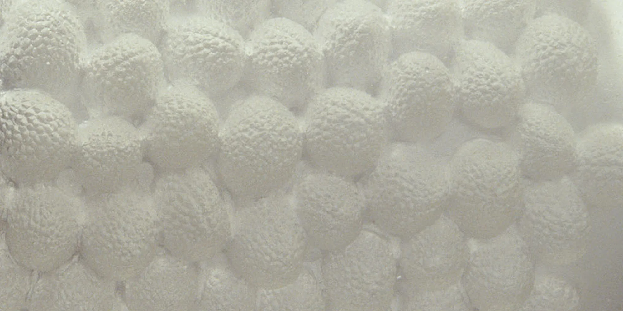 polar-2006-texture.jpg
