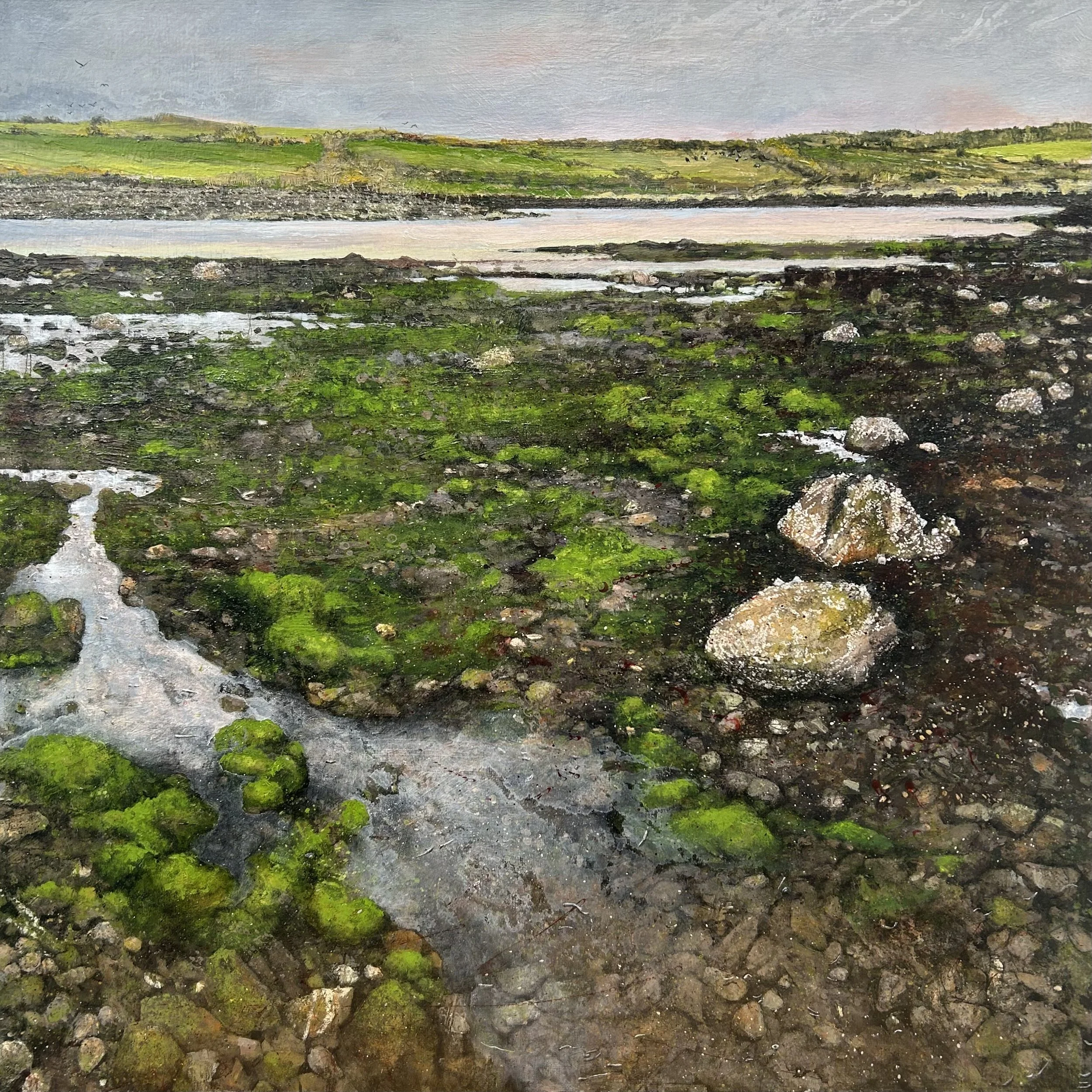 Janet-Murran-on-a-journey-along-green-furred-mud-flats-with-barnacle-covered-rocks-2024-60x60x4cm-acrylic.jpeg