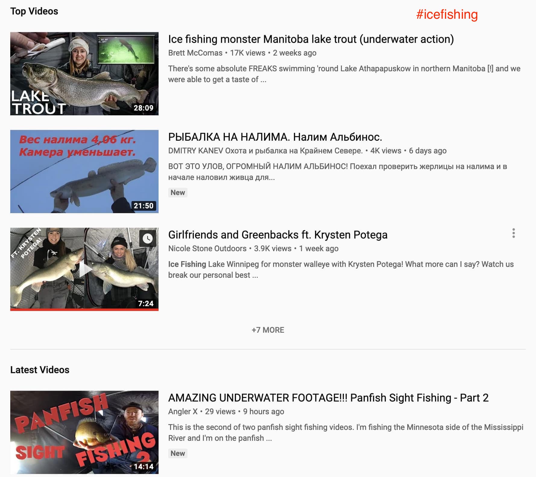 Above is an example of a YouTube hashtag (#) search.