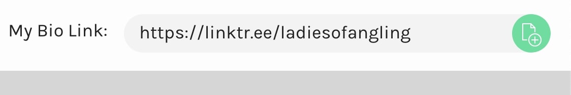 The link that will be generated to add to your bio.