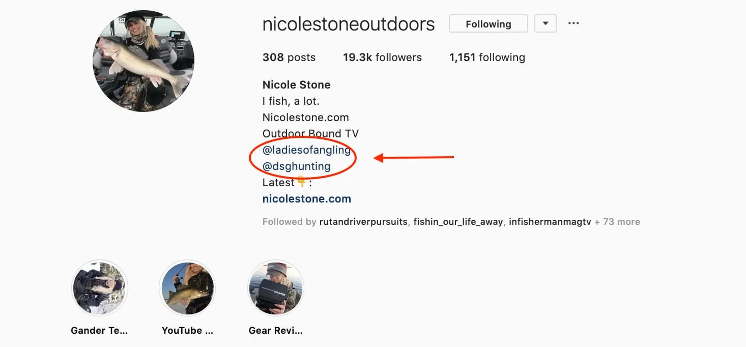 Add other pages and hashtags on your Instagram.