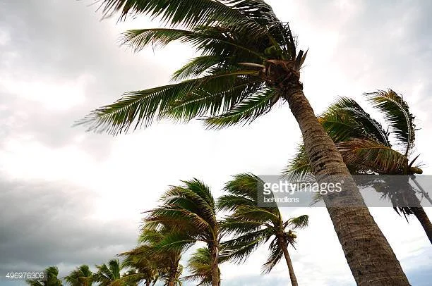 Photo by behindlens/iStock / Getty Images