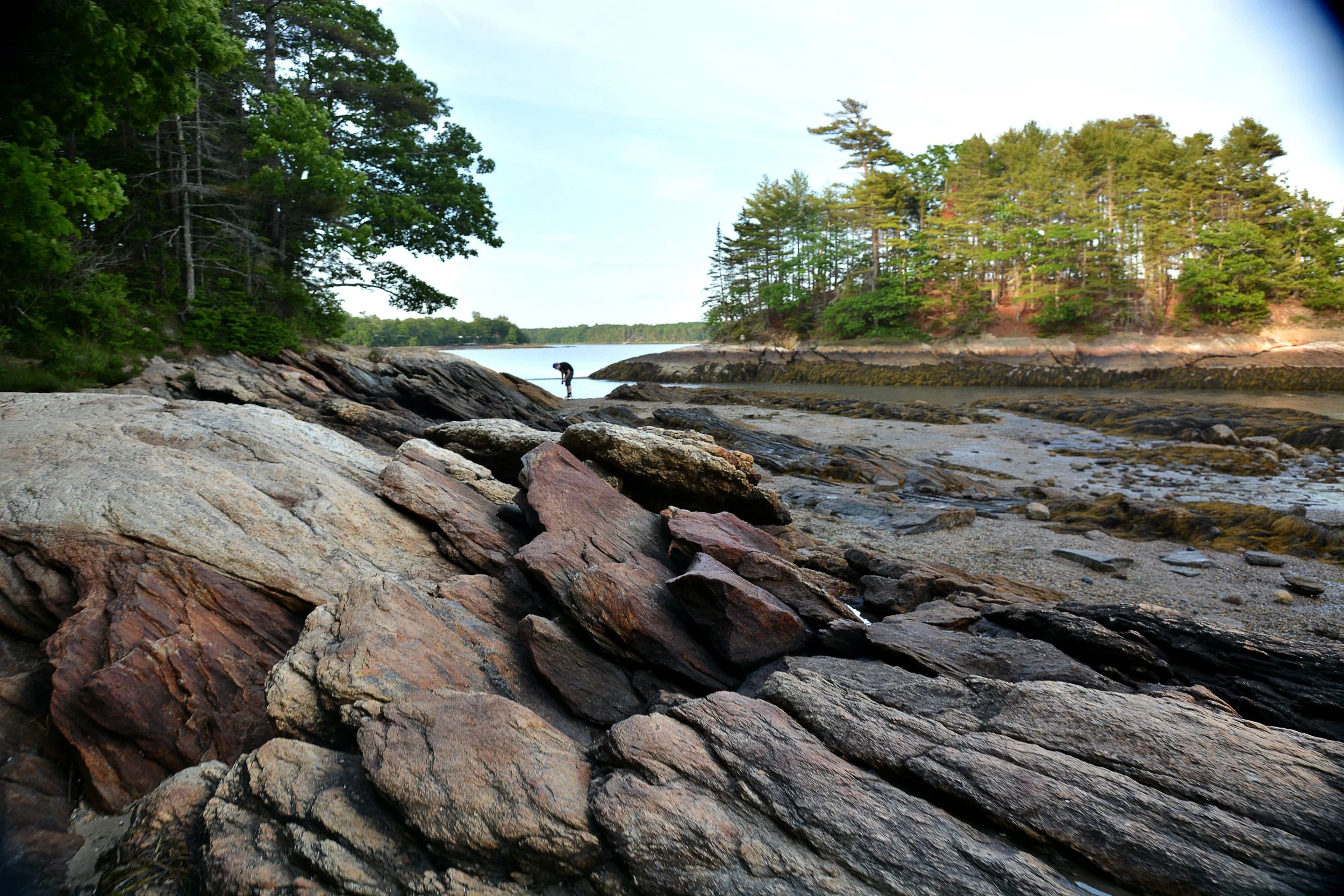 DSC_9887.JPG