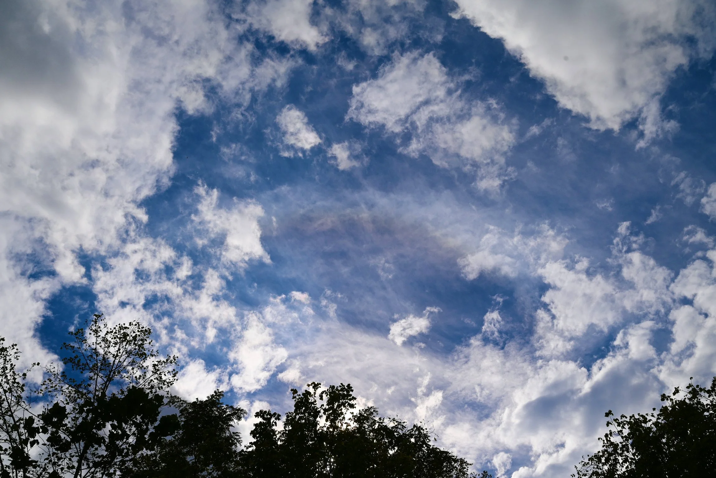 DSC_1805.jpeg