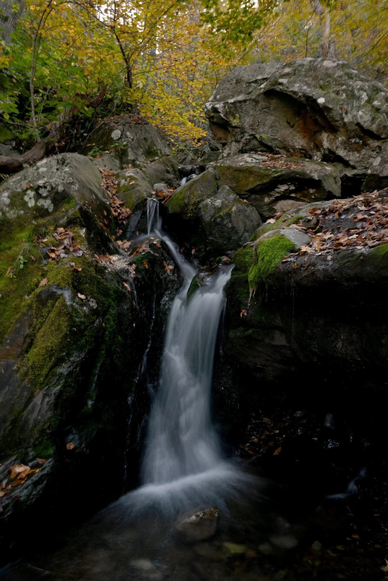 DSC_1598.jpeg