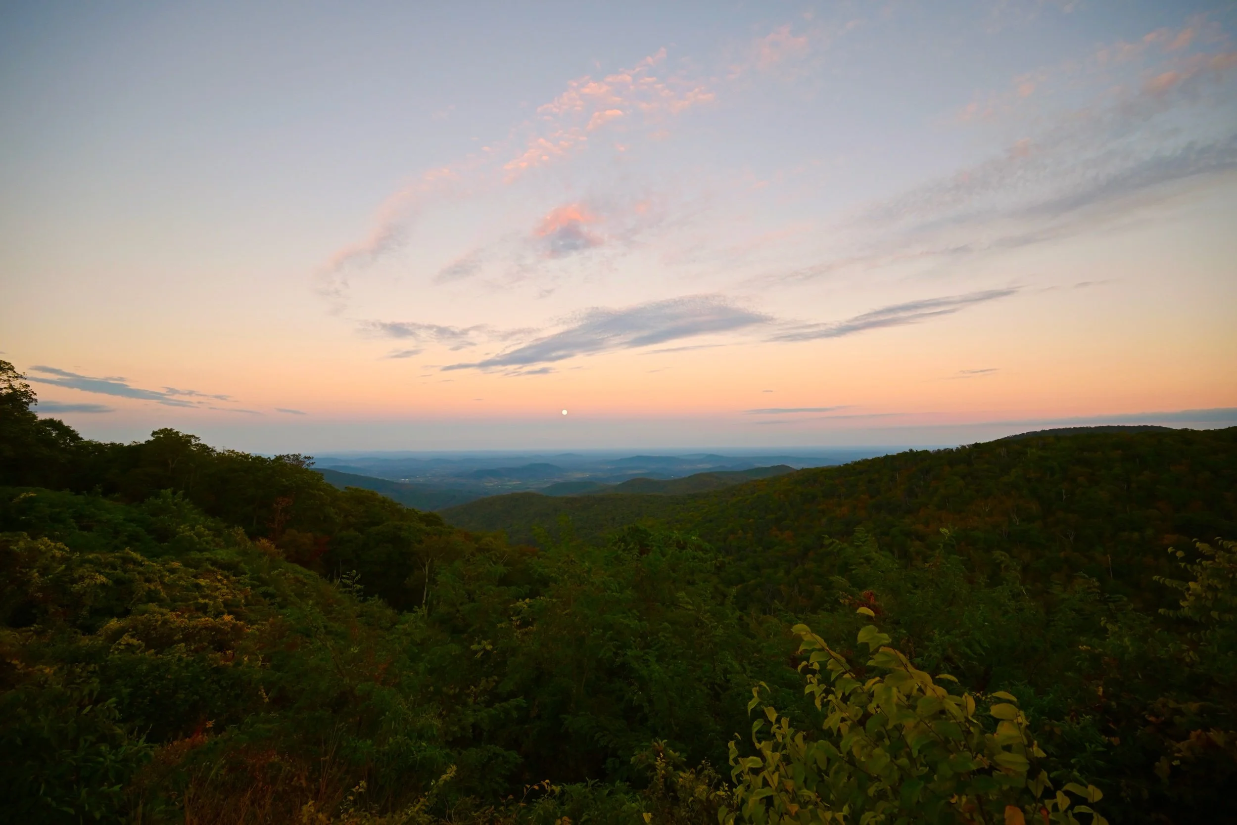 DSC_1717.jpeg