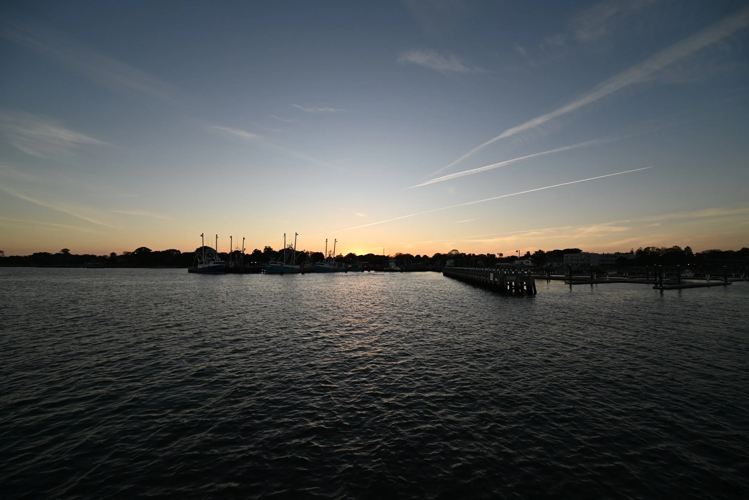 DSC_6556.jpeg