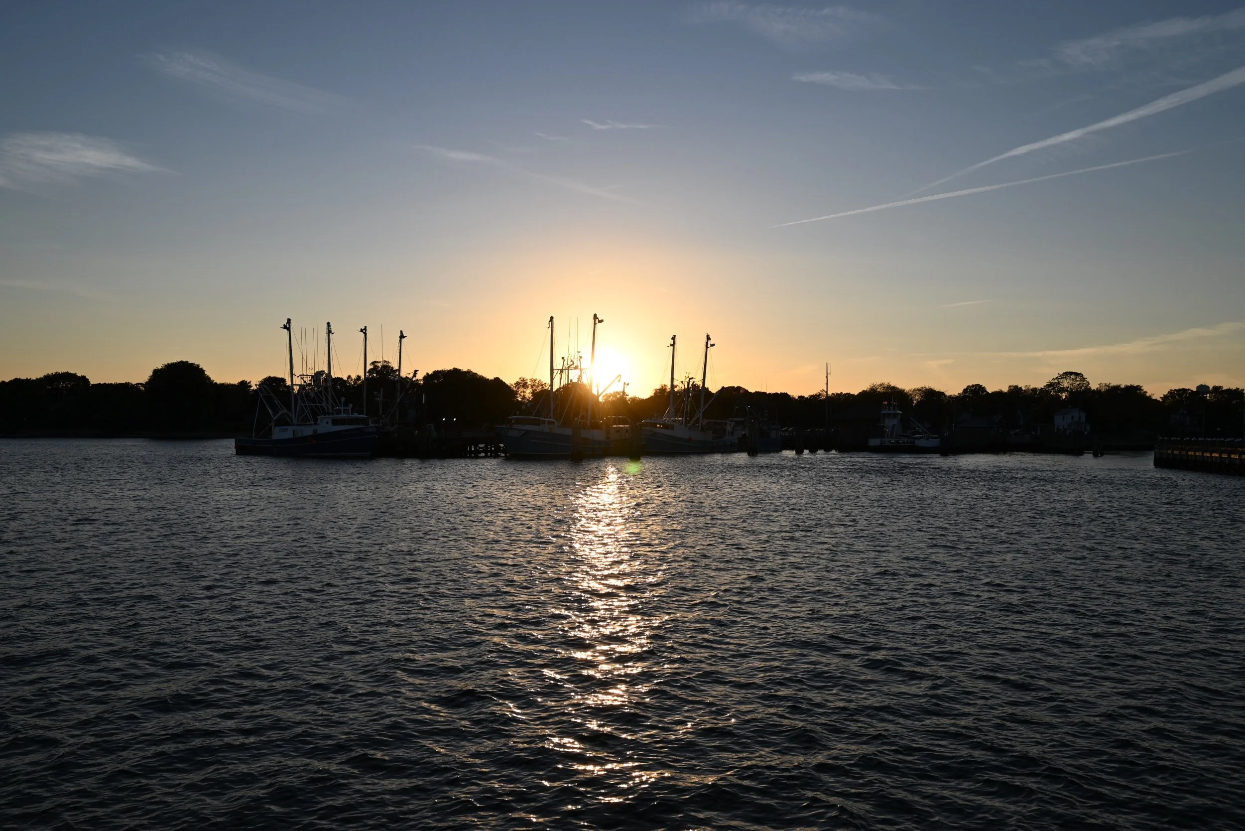 DSC_6506.jpeg