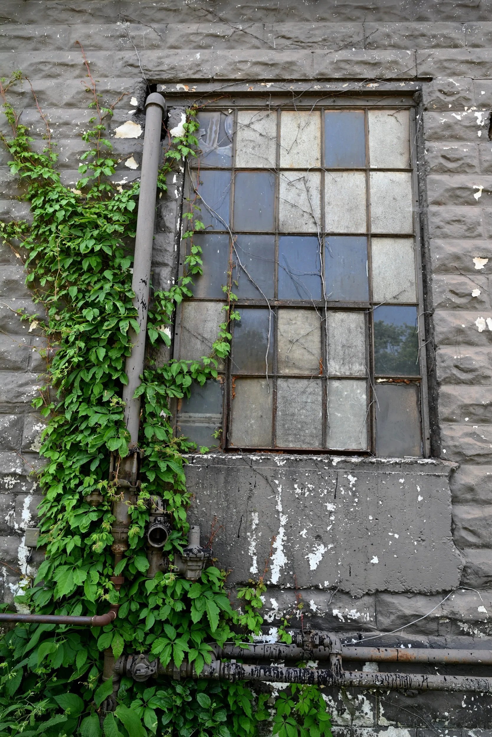 DSC_9541.jpeg