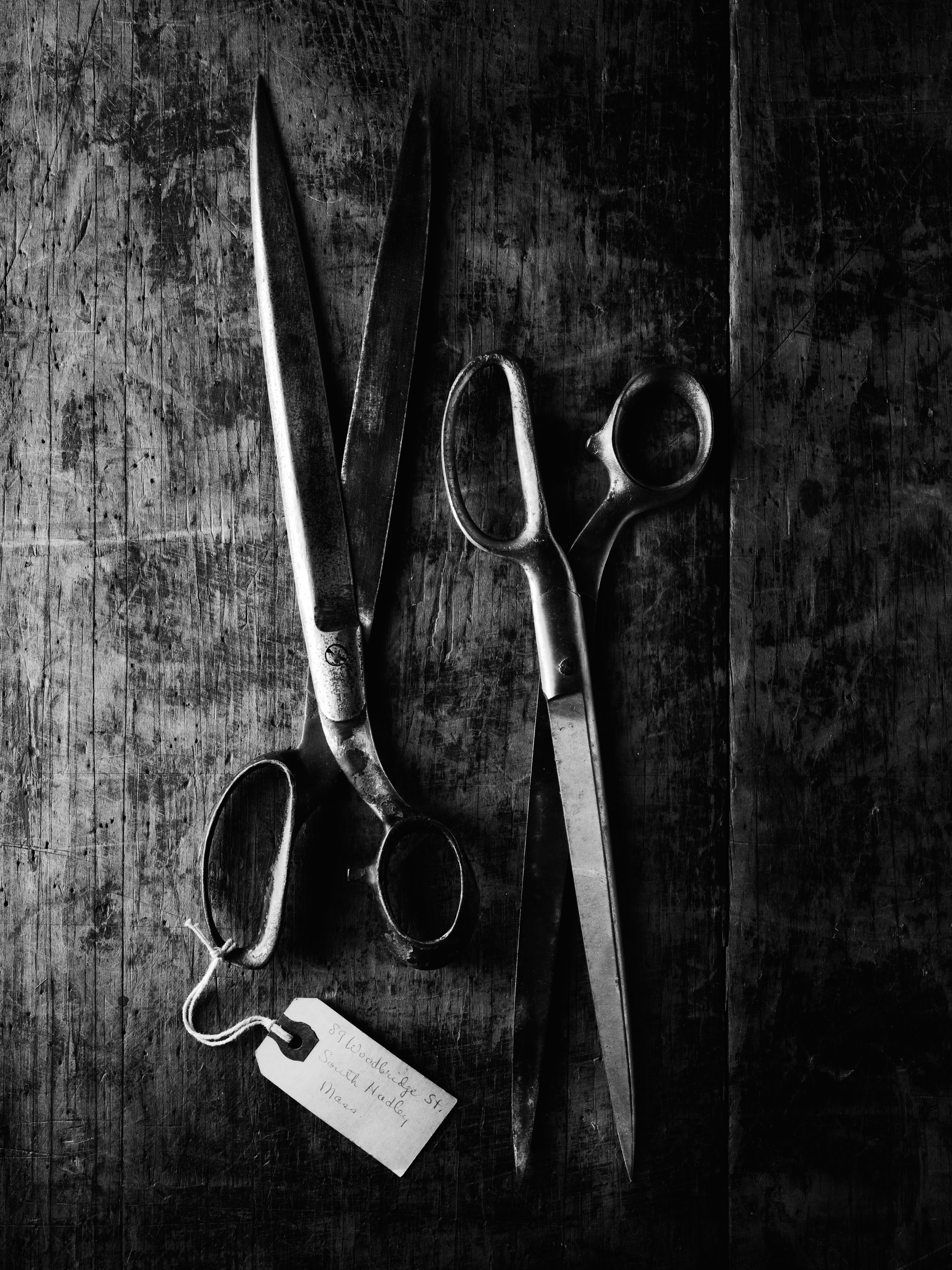 shears_010_RS (1).jpg