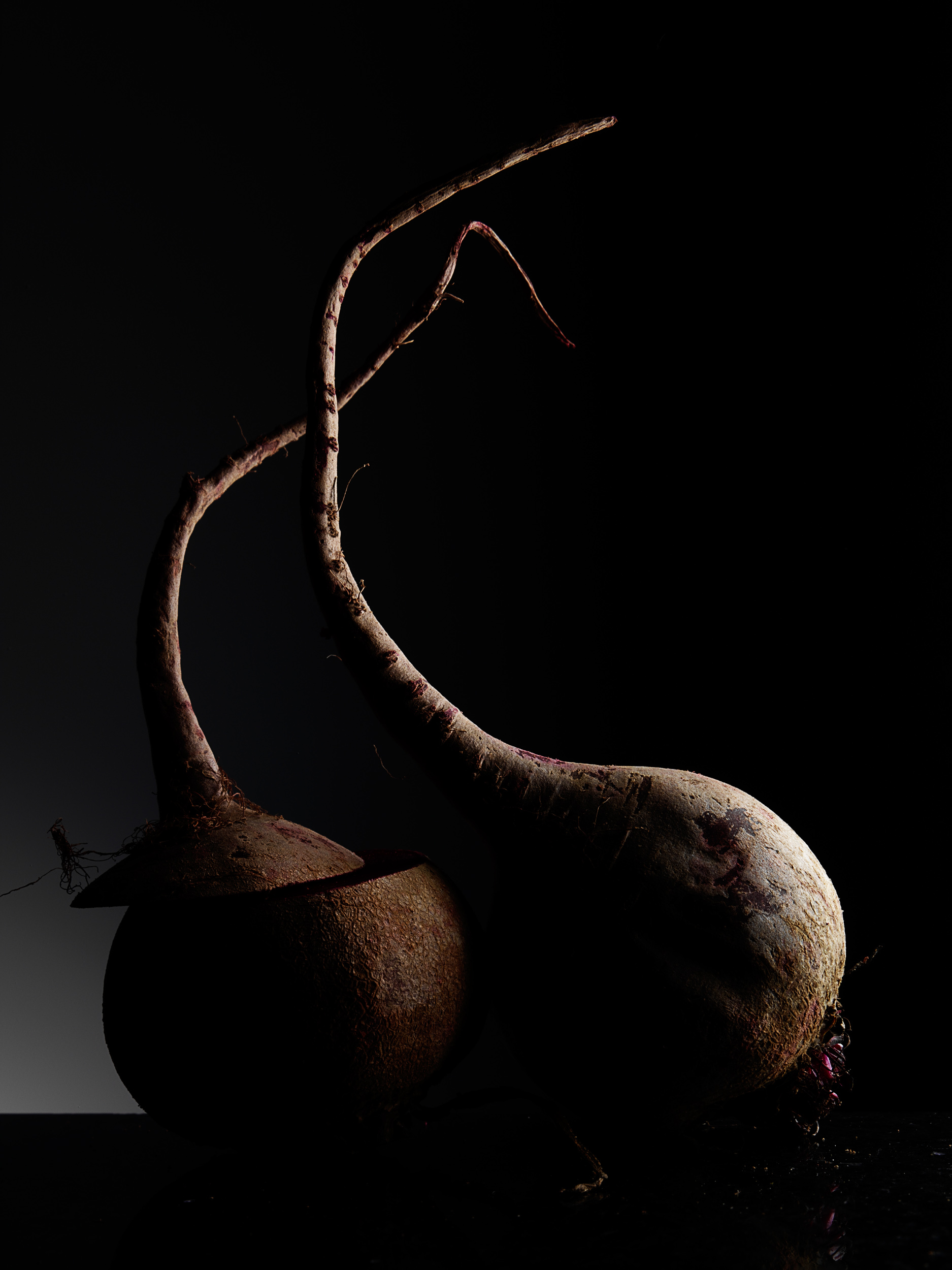 beets_022_RS.jpg