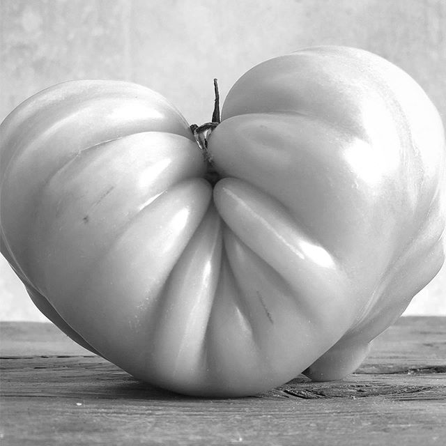 #heirloomtomato #heirloom #tomato #graphic #b&amp;w