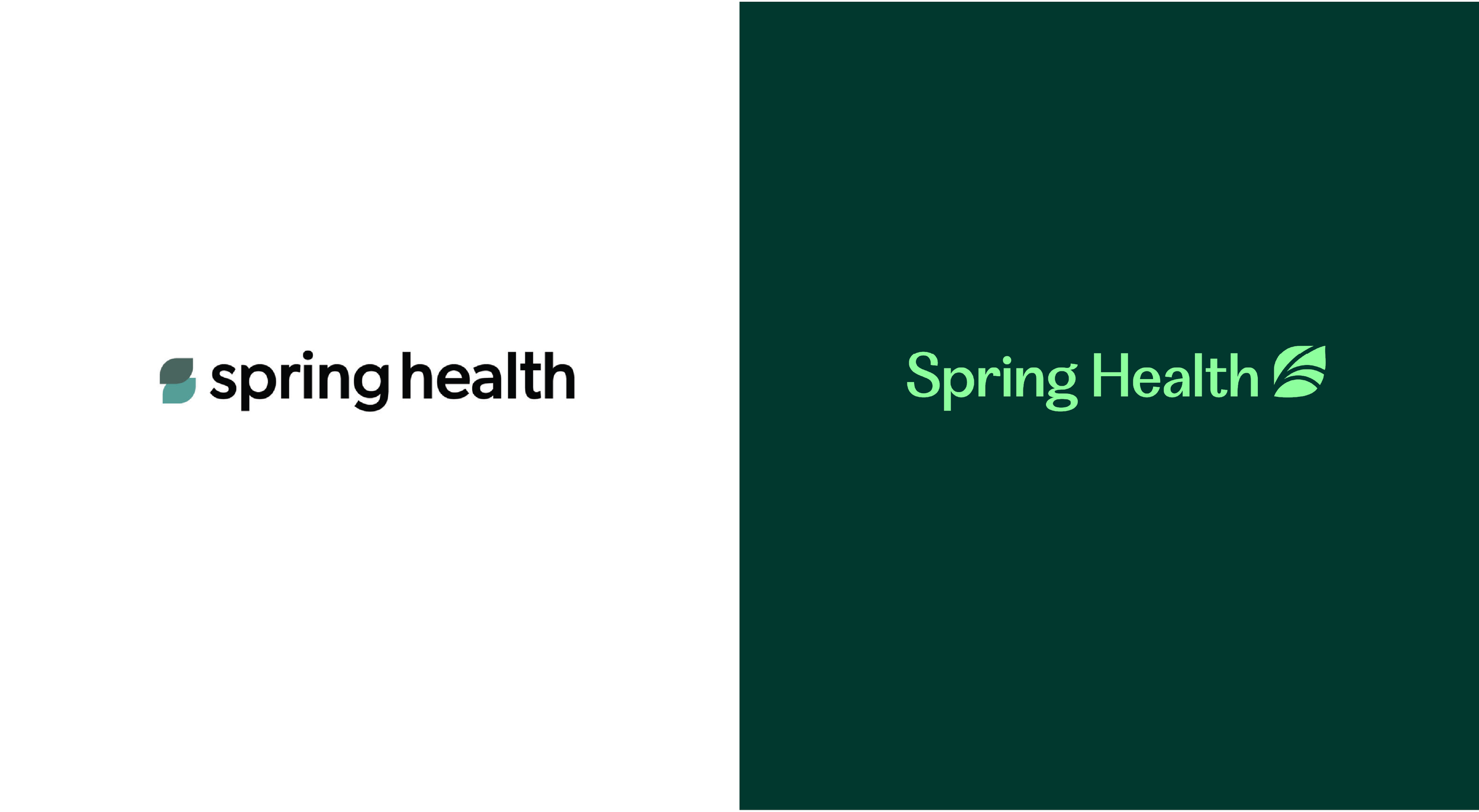 Spring Health logo