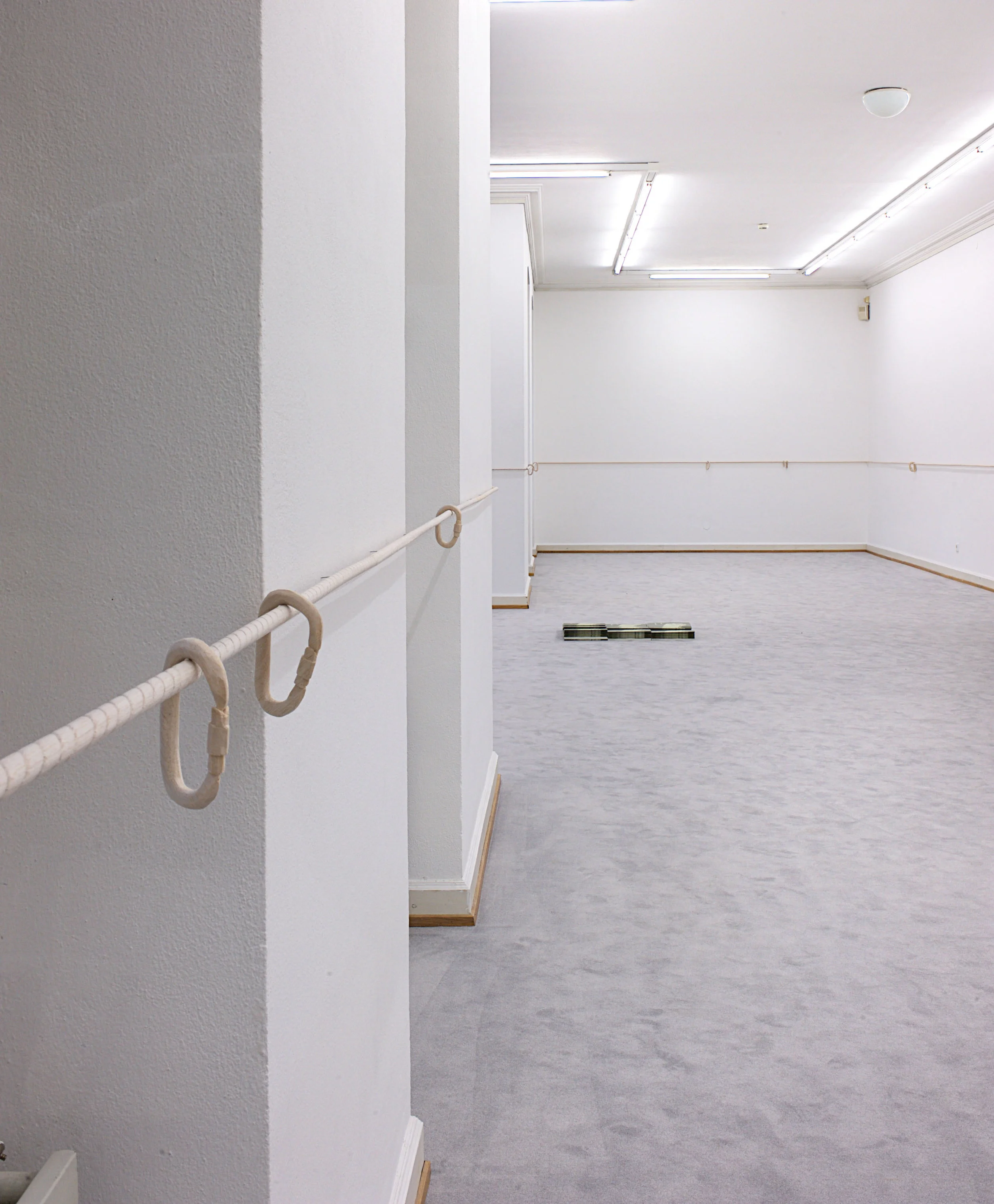W.Bender KARABINER, Installation Bregenz 2017(Detail).jpg