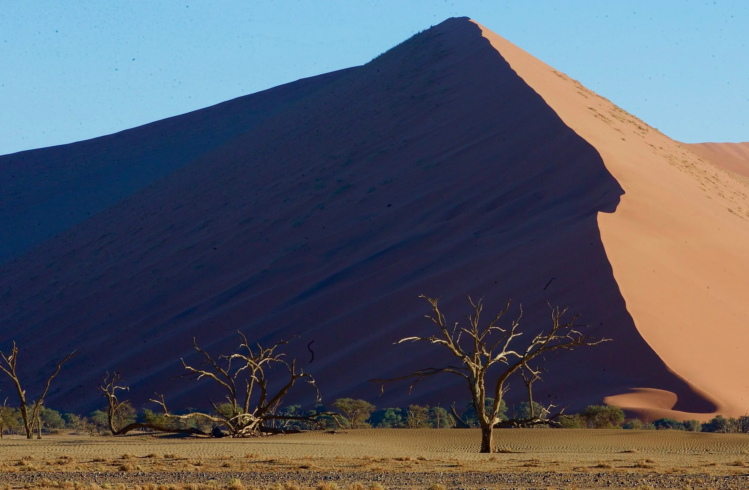 Namib Desert