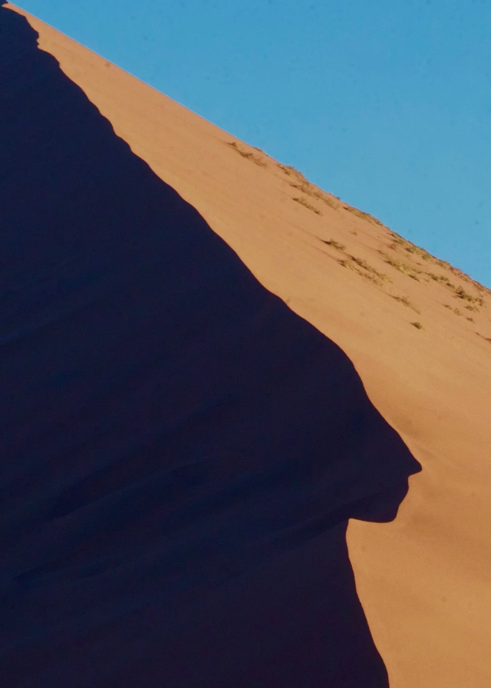 Namib Desert