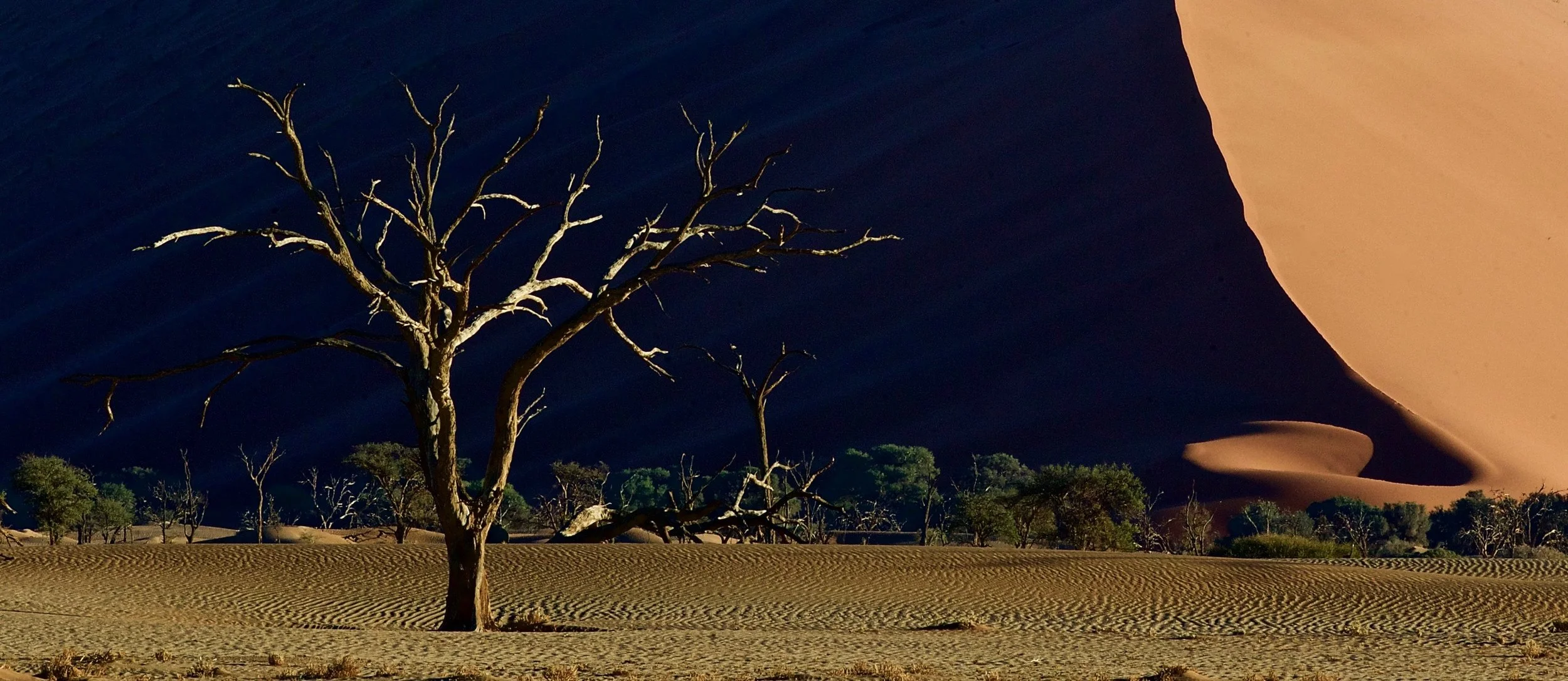 Namib Desert