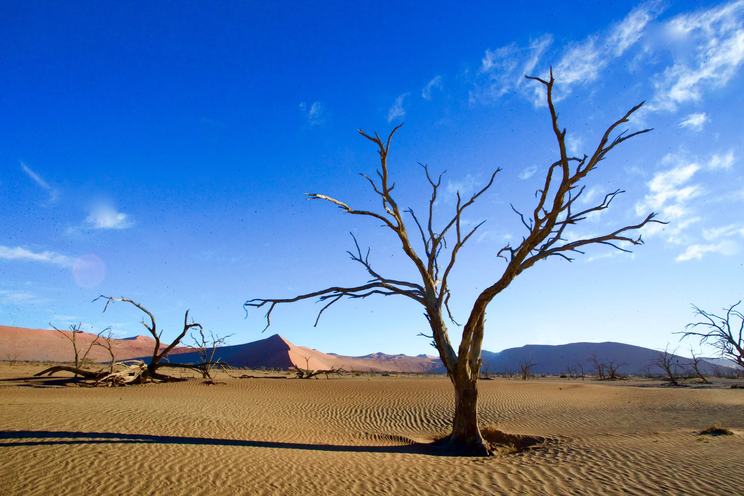 Namib Desert
