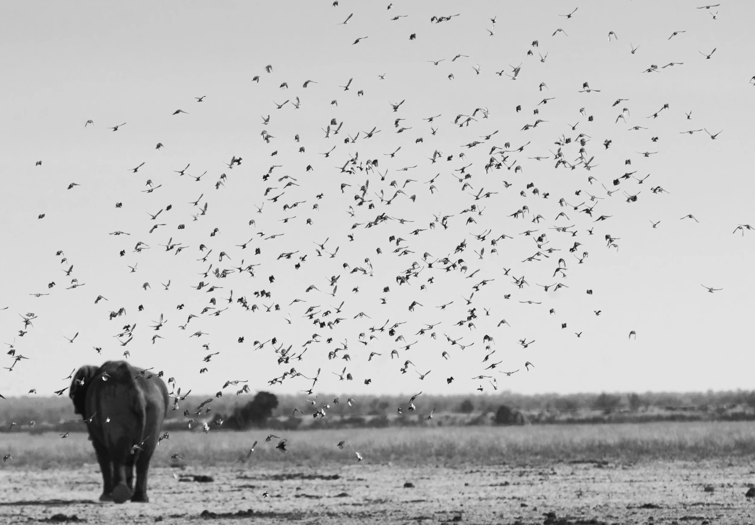 NAMIBIA - 114.jpg