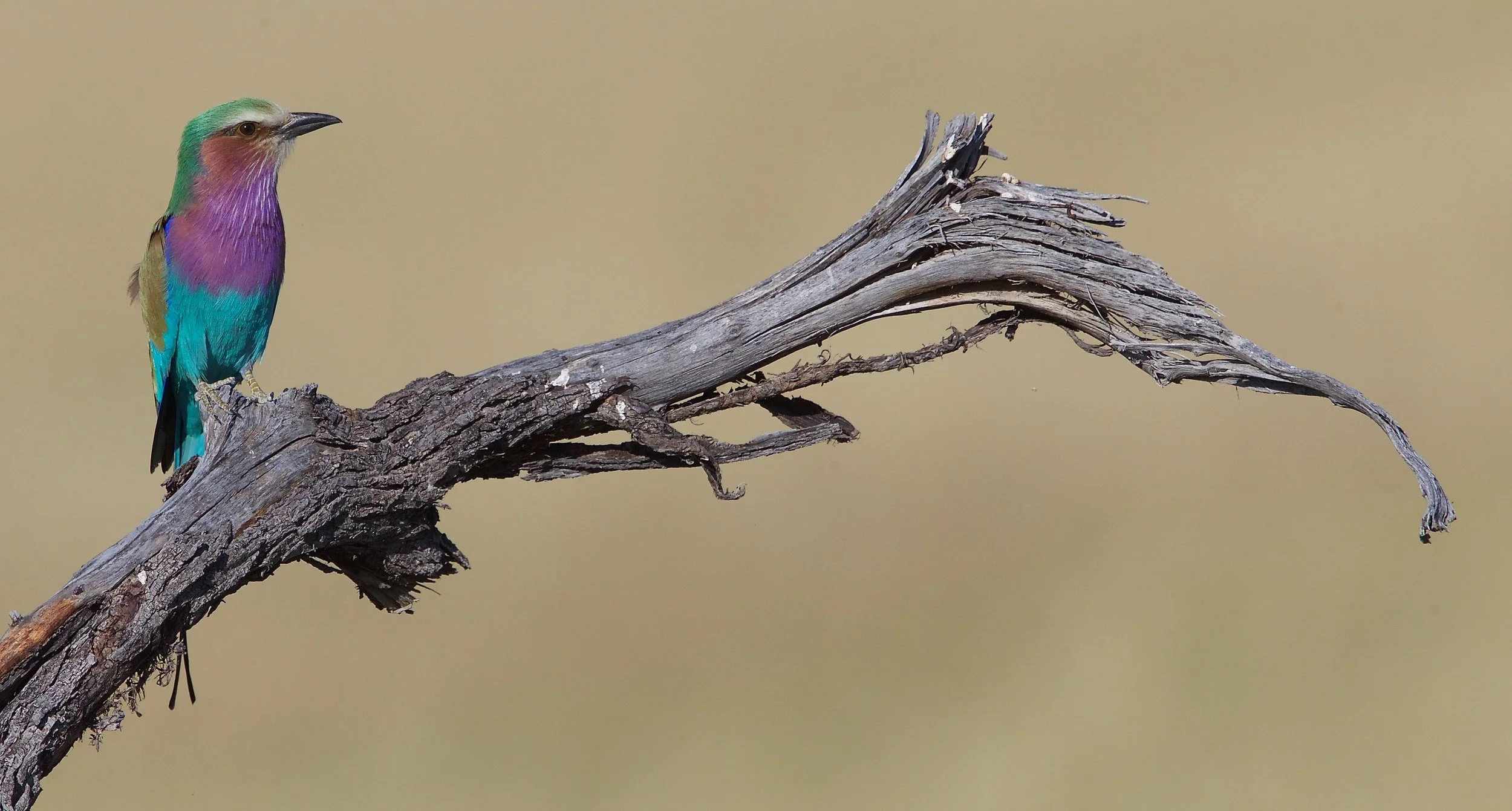 NAMIBIA - 141.jpg
