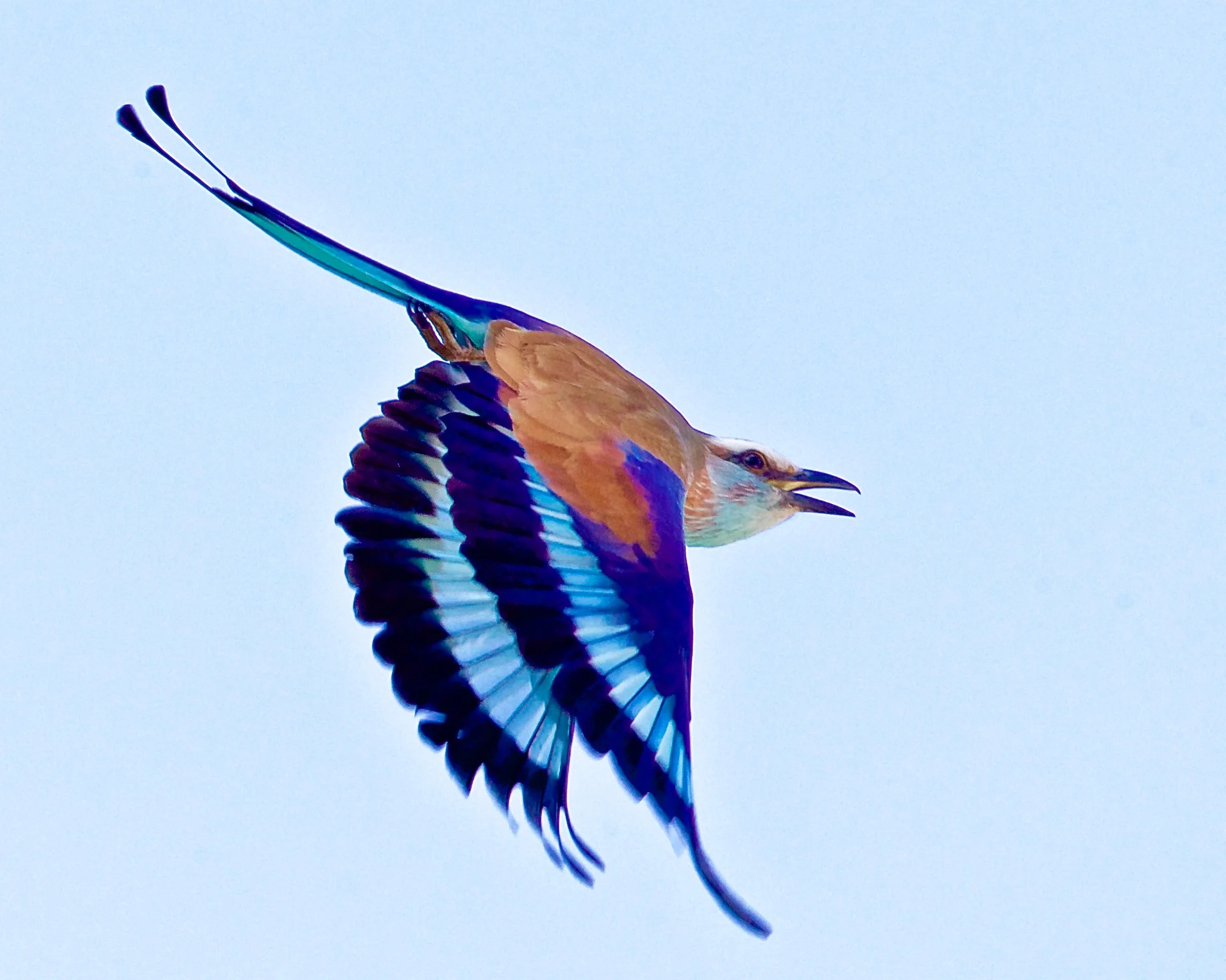NAMIBIA - 142.jpg