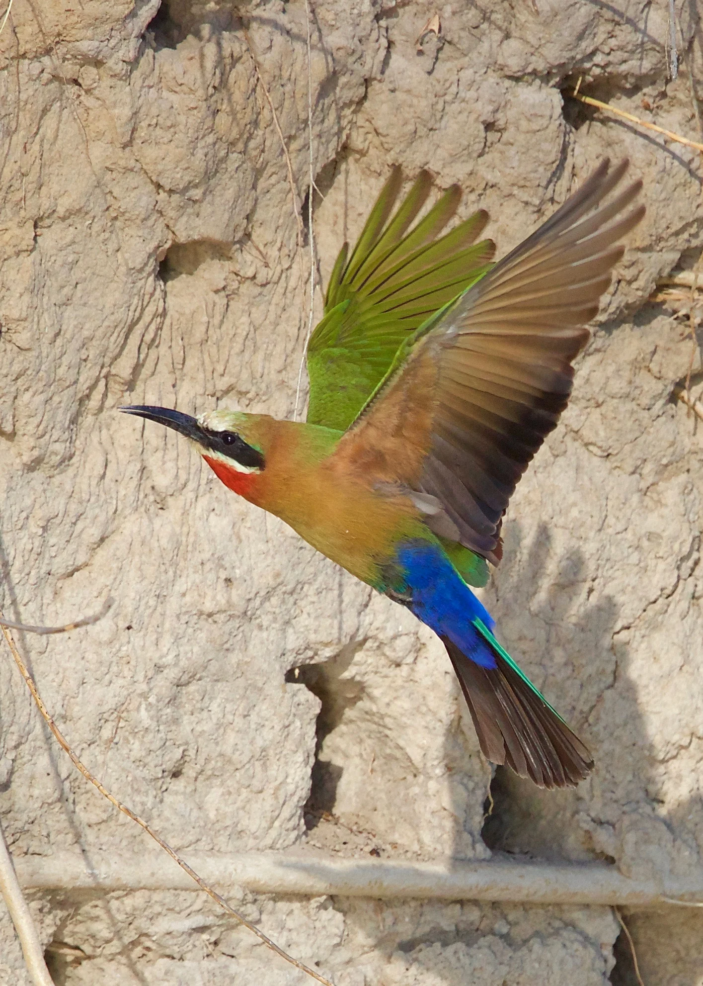 NAMIBIA - 171.jpg