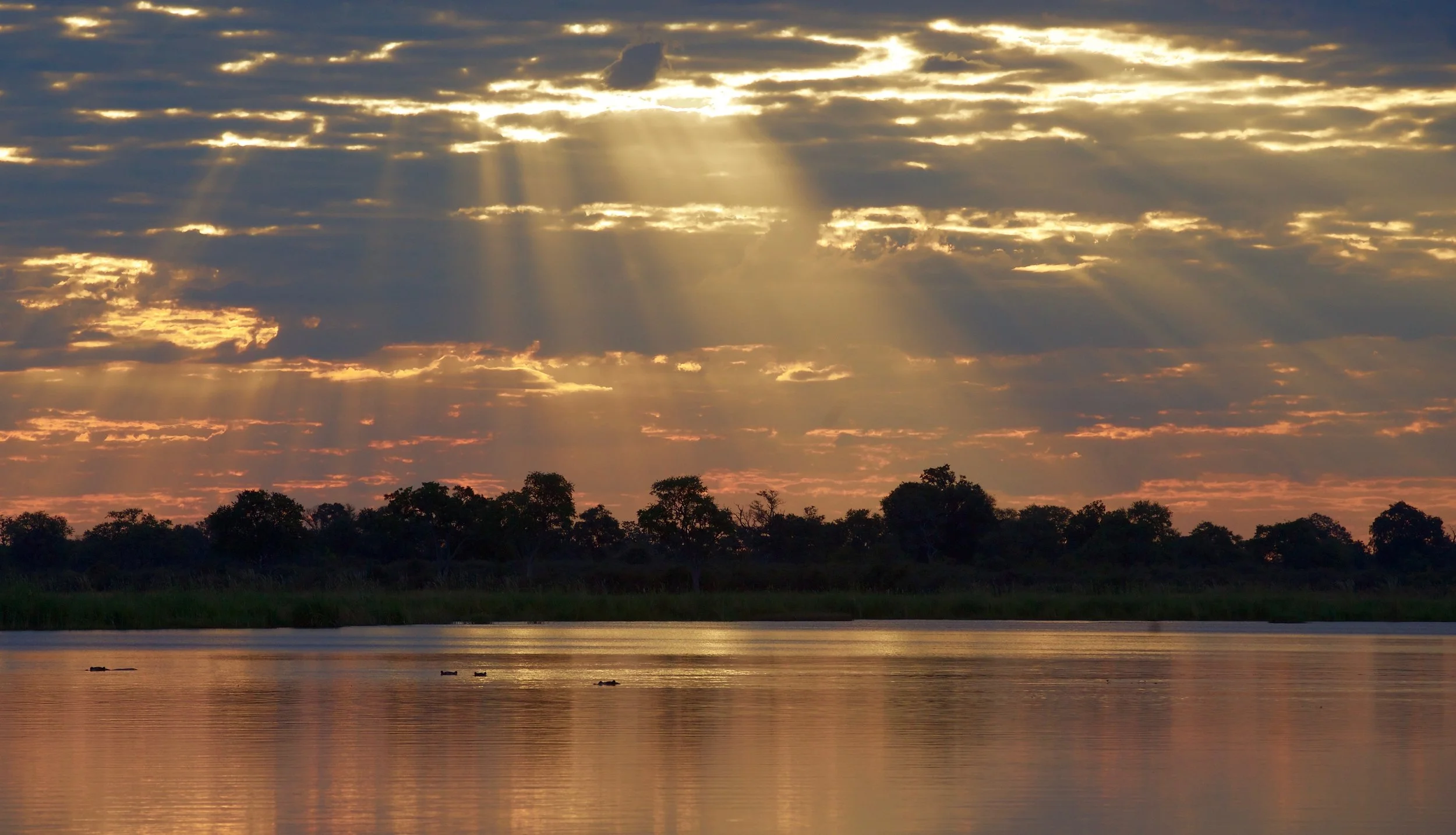 Chobe Sunset