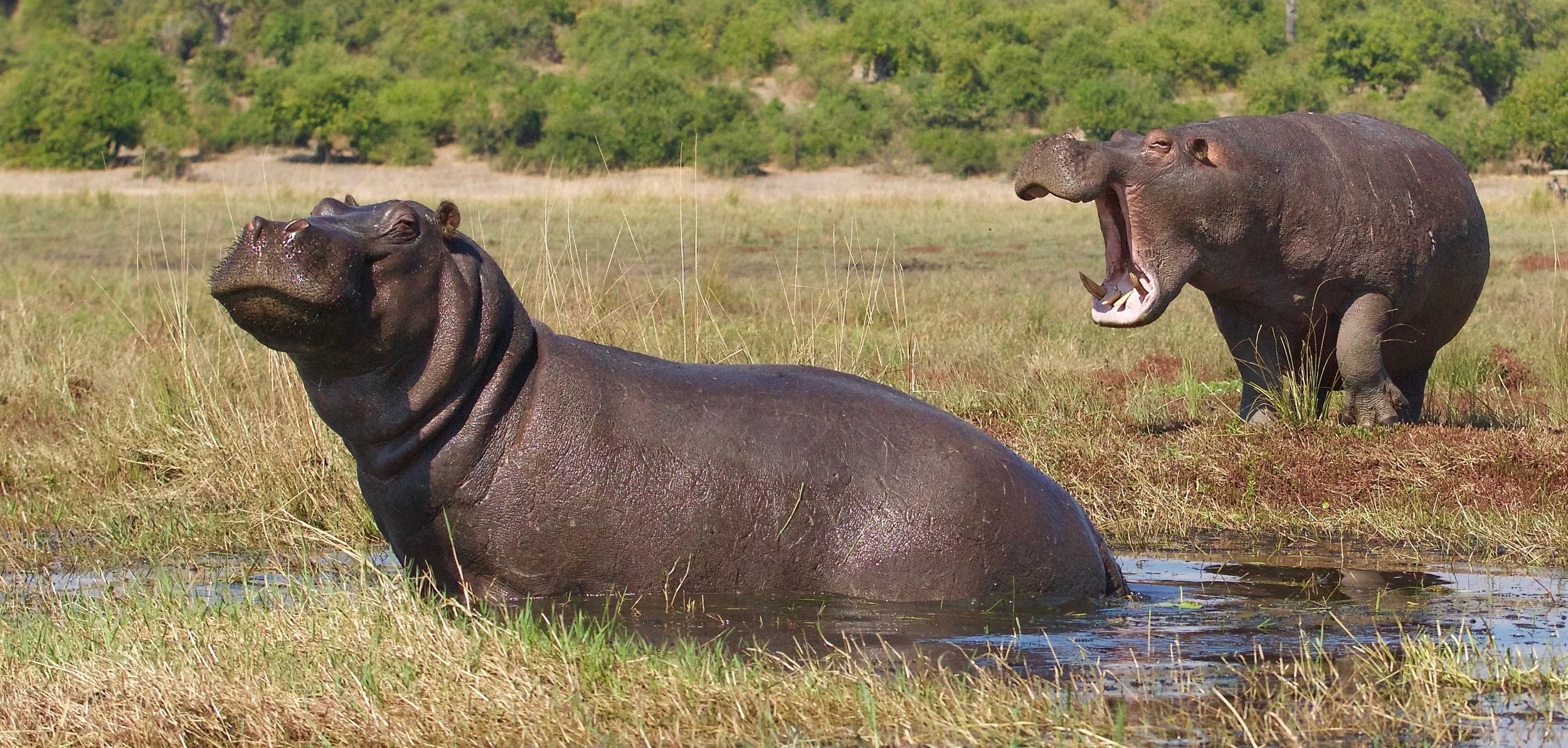 NAMIBIA - 211.jpg