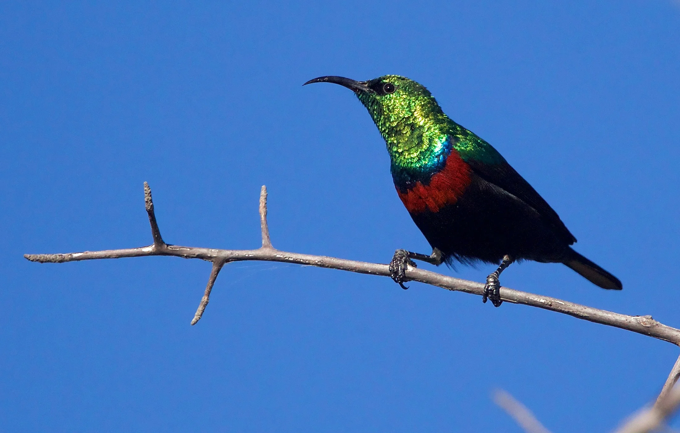 NAMIBIA - 239.jpg