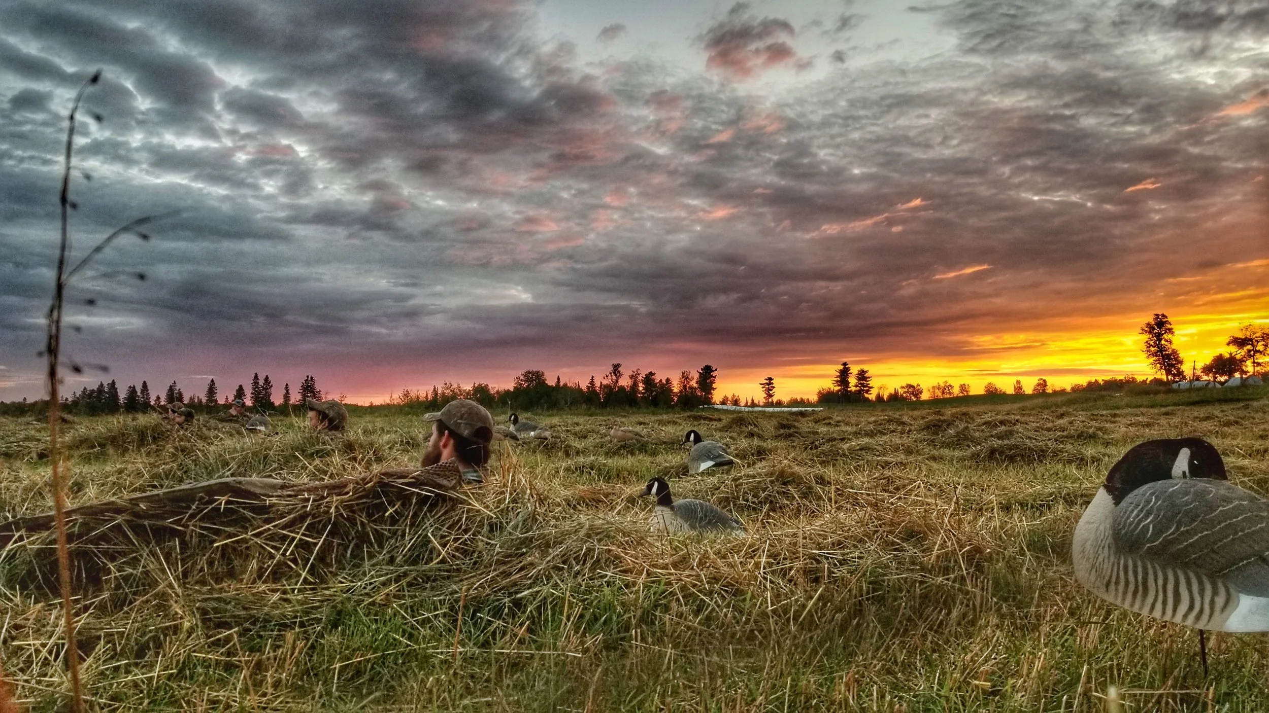 Family Traditions From Field to Freezer