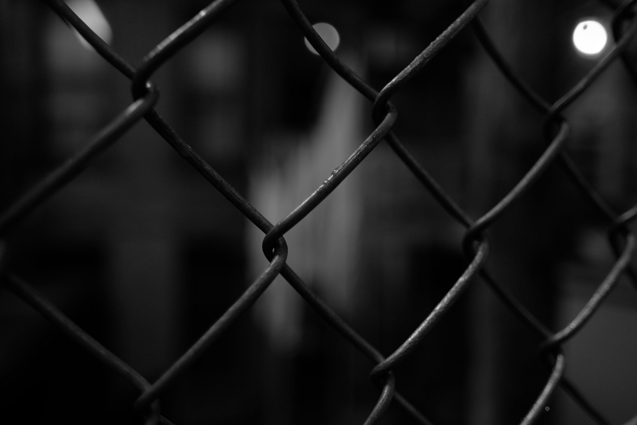 DSCF8139.JPG