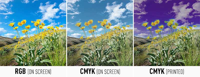 side by side comparison of RGB and cmyk images as viewed on computer monitor. Image curtesy of SmartLevels.com – Technical Help