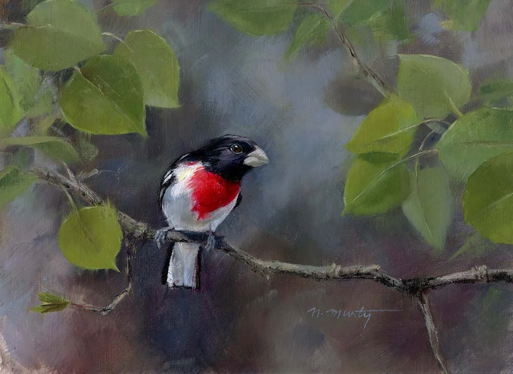 © Nancy Murty • Seed Breaker • oil on linen • 9x12 in • available