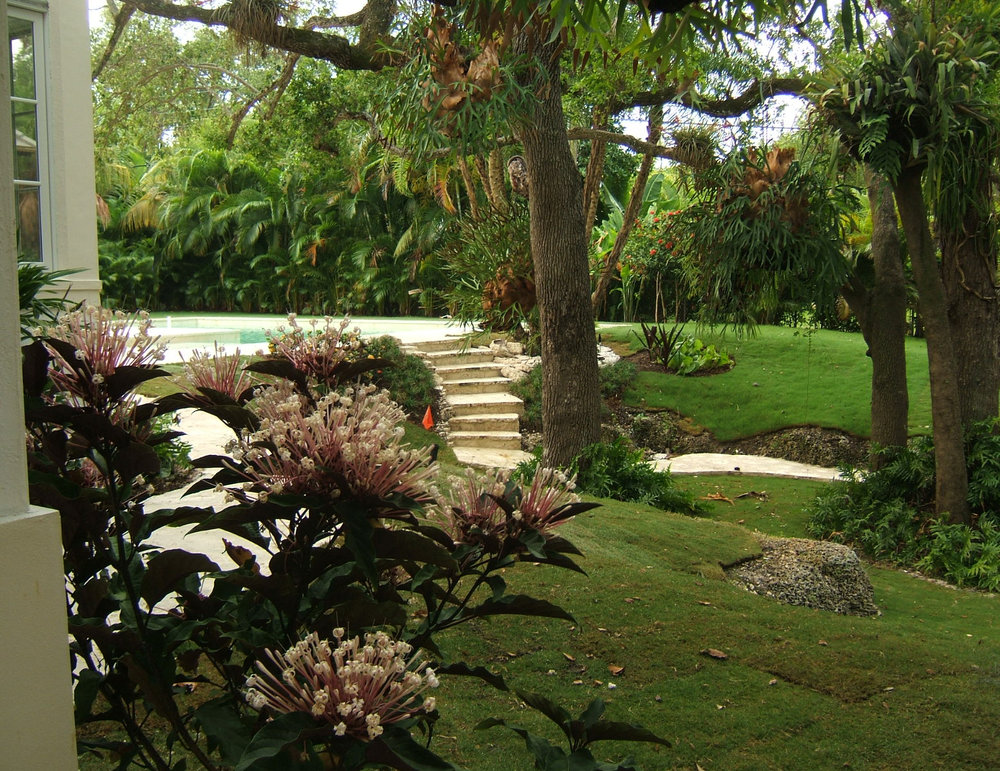 Green design landscaping miami