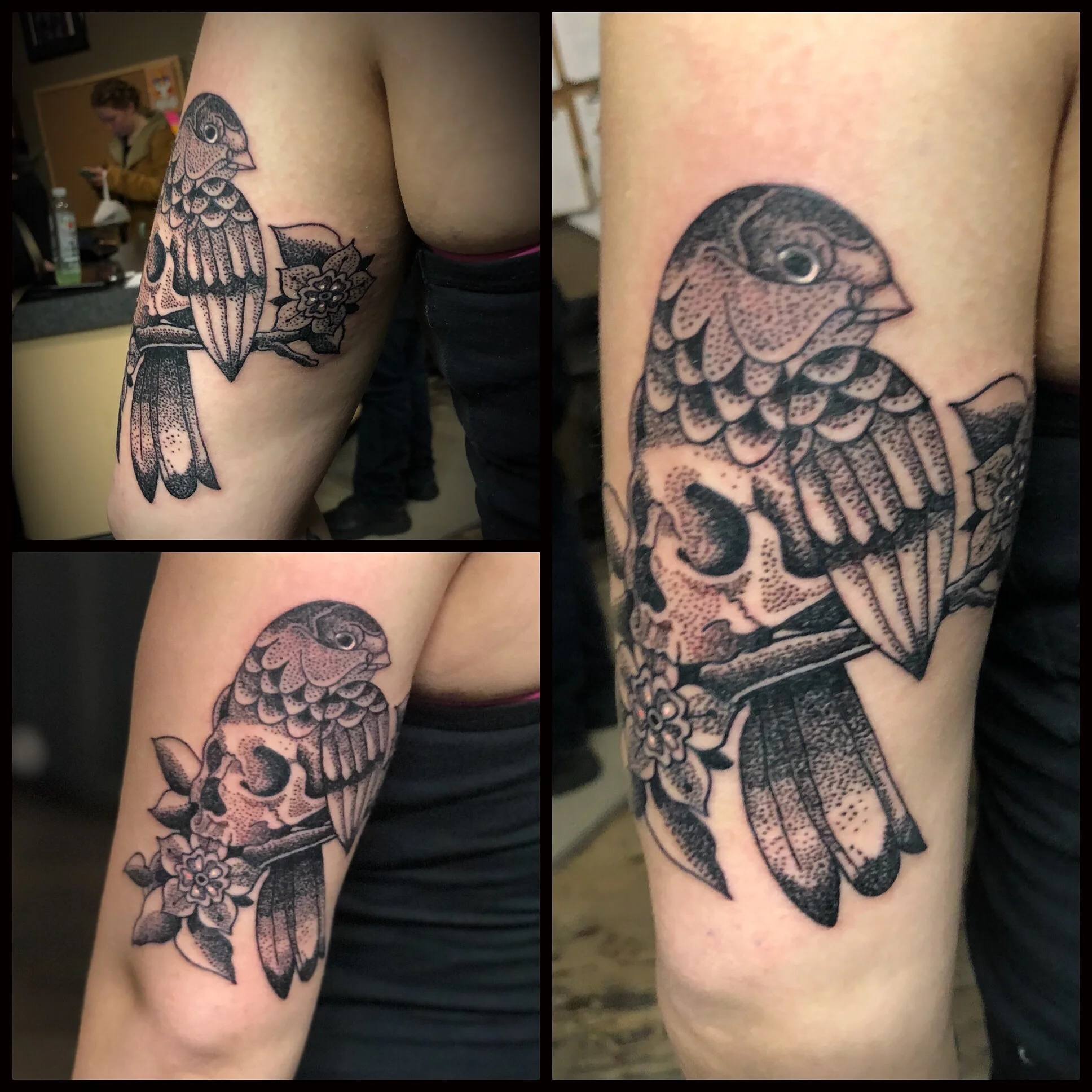 Dot Work Skull Bird