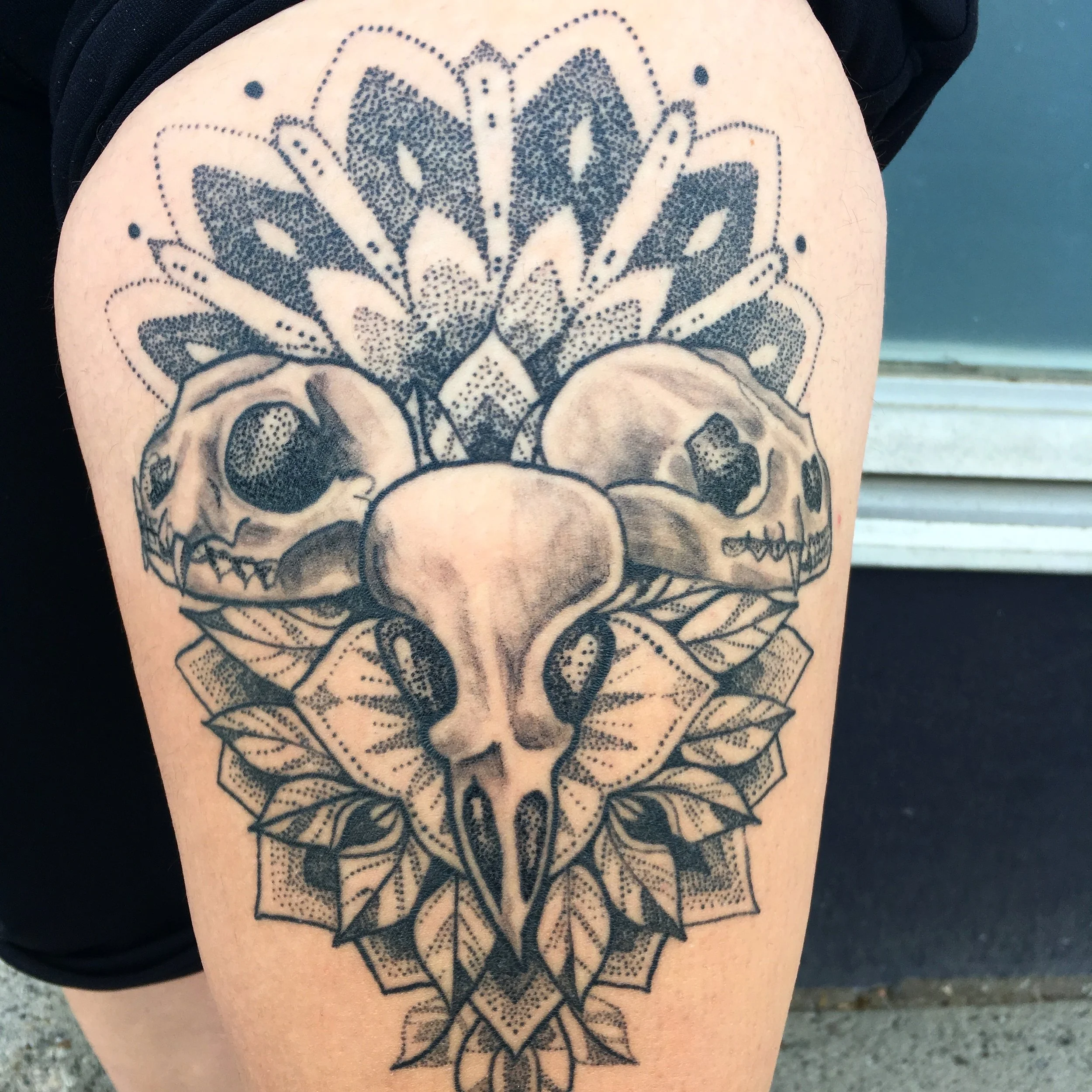 Air, Sea, and Land Skull Mandala