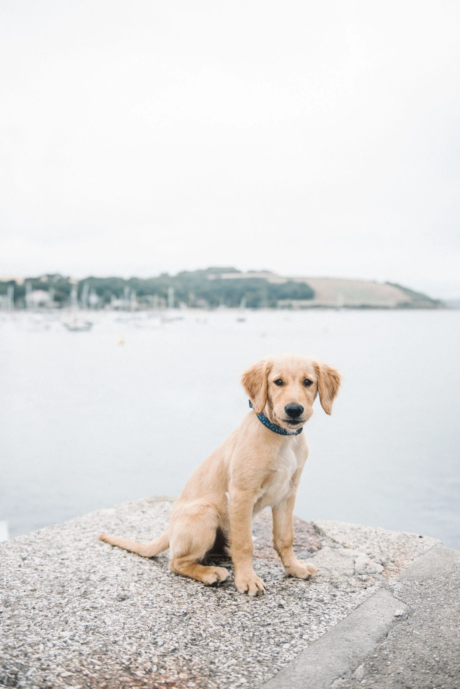 OliviaBossertPhotography (3 of 5).jpg