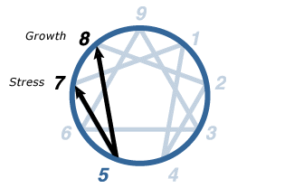 Enneagram Type Five