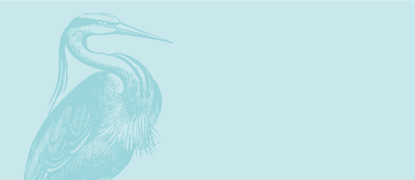 Heron_LightBlue-01-01.png