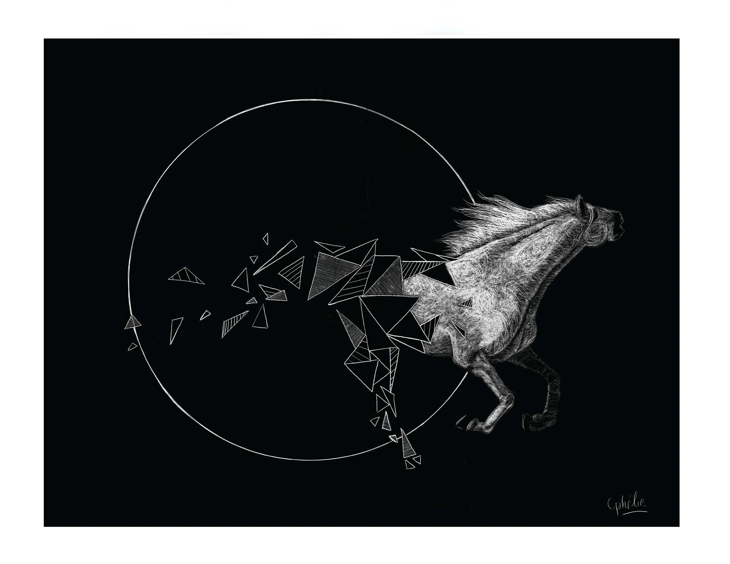 Horses - Chevaux